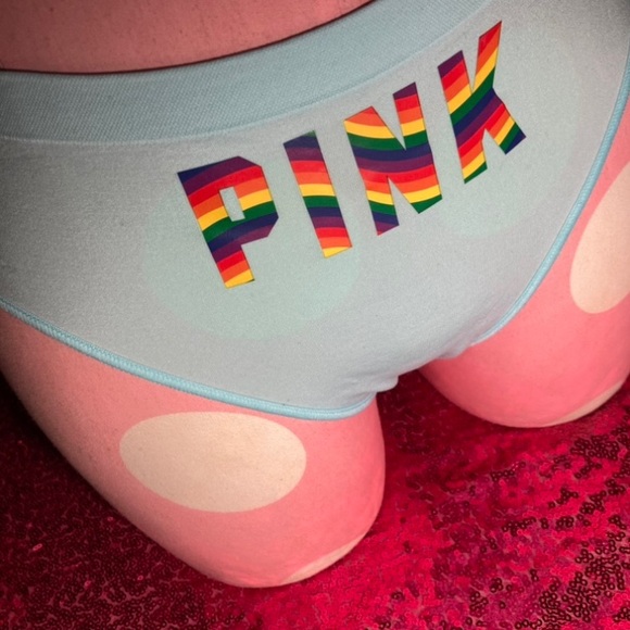Victoria’s Secret Pink Thong Rainbow Pride Logo LGBT Size XXL Panty vspink NWT - Picture 13 of 14